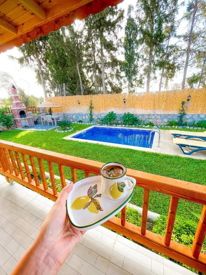 Вилла Andizalti Doga Evleri Limon Ev Датча Экстерьер фото